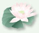wutai2009 的头像
