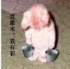 brightfox 的头像